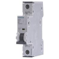 Siemens 5SY41027 5SY4102-7 Zekeringautomaat 2 A - thumbnail