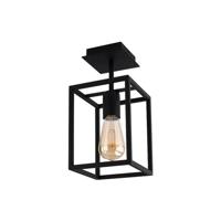 Lyora Landelijke plafondlampCrate - 9045 - thumbnail