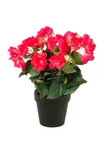 Kunstplant Begonia Roze in pot - 11cm - thumbnail