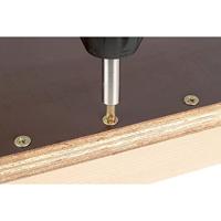 Wolfcraft Torsie TiN-bit | Kruiskop PH2 | 1 stuk - 1323000 - thumbnail