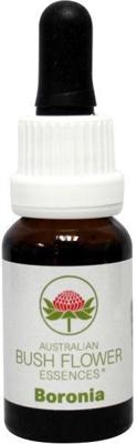 Australian Bush Boronia 15 Milliliter