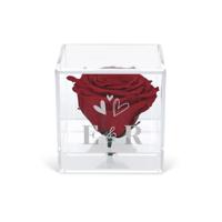 Preserved rose in glas (plexi) - thumbnail