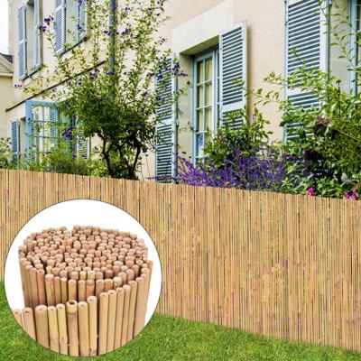 VidaXL Scherm 300x100 cm bamboe VidaXL Scherm 300x100 cm bamboe