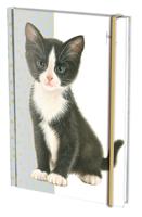 Notitieboek A5, harde kaft: Franciens Kittens, Francien van Westering - thumbnail