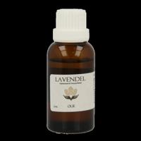 Orphi Lavendelolie 25 Milliliter - thumbnail