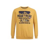 Jan Vanderstorm sweater ISKKO Plus Size met printopdruk geel - thumbnail