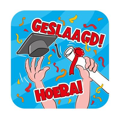 Paperdreams huldeschild geslaagd cartoon Paperdreams huldeschild geslaagd cartoon