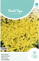 Zaden Sedum Muurpeper geel Hortitops - Hortitops - thumbnail
