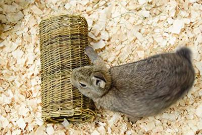 Nature First Happy pet wilgen tunnel