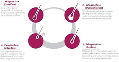 Viviscal Man Hair Growth Supplement