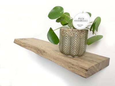 Zwevende wandplank oud eiken boomstam 60 x 20 cm Zwevende wandplank oud eiken boomstam 60 x 20 cm