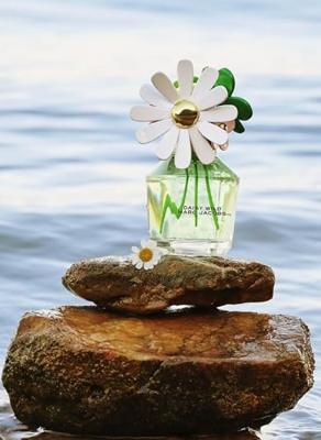Marc Jacobs Daisy Wild Eau de Parfum 100ml Marc Jacobs Daisy Wild Eau de Parfum 100ml