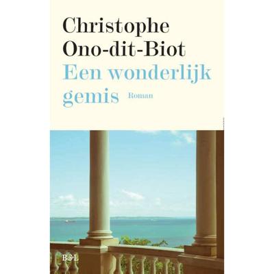 Een wonderlijk gemis - Christophe Ono-Dit-Biot - Paperback (9789463930161) Een wonderlijk gemis - Christophe Ono-Dit-Biot - Paperback (9789463930161)