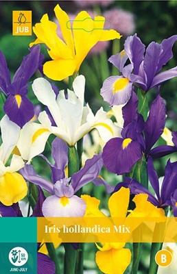 Iris hollandica mix bloembollen 25 bollen Hollandse iris JUB - Jub