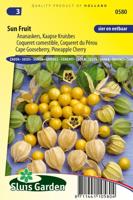 Ananaskers zaden SunFruit - thumbnail