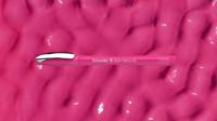 Schneider Schreibgeräte Etui 4x Memo + 1x Rave power pink 150265 Balpen Kleur inkt: Blauw 5 stuk(s) - thumbnail