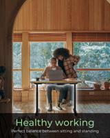 ICY BOX Zit-sta-bureauframe Elektrisch in hoogte verstelbaar Hoogte: 620 tot 1280 mm (b x d) 1047 mm x 300 mm Zwart IB-EW206B-T 60867 - thumbnail