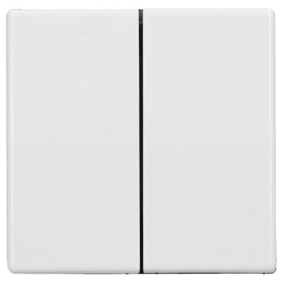 Jung 2-voudige schakelwip alpine wit glans AS591-5WW Jung 2-voudige schakelwip alpine wit glans AS591-5WW