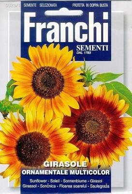 Zonnebloem Girasole Ornamentale 329/1 zaden Franchi - Franchi Zonnebloem Girasole Ornamentale 329/1 zaden Franchi - Franchi