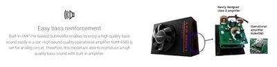 Pioneer TS-WX300 A Auto-subwoofer actief 1300 W
