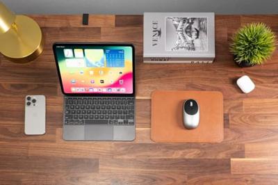 Satechi ST-LMPN Muismat Bruin