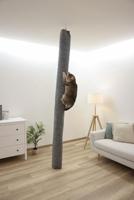 Kerbl Pet Klimzak Carpet, f. katten, grijs, 16x16x240 cm - thumbnail