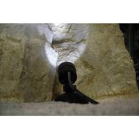 Pondostar led set 6 Pontec - Pontec - thumbnail