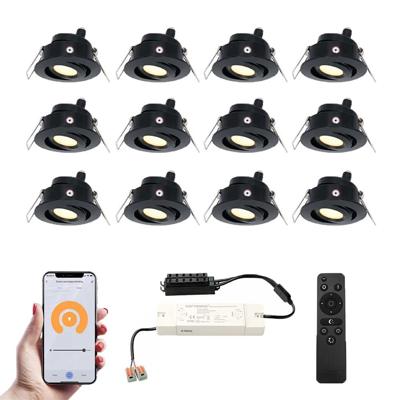 Set van 12 Sienna Smart LED Mini Inbouwspots - Veranda spots - 12V 3W 200lm - Dimbaar - Kantelbaar - Wifi & Bluetooth - 2700K - IP44 - Zwart