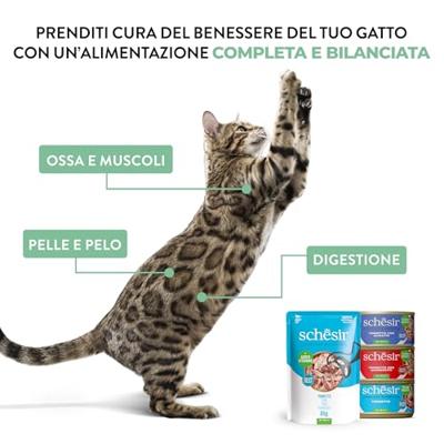 SCHESIR in jelly Tuna with sea bream - nat kattenvoer - 85 g - thumbnail