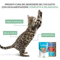 Can jelly tuna&ham 85g Schesir Malanico - Malanico - thumbnail