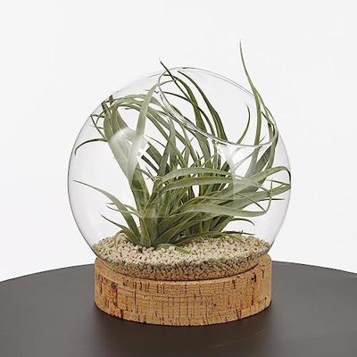 Mica Decorations Jillian Vaas Ø 20 cm Mica Decorations Jillian Vaas Ø 20 cm