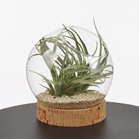 Mica Decorations Jillian Vaas  Ø 20 cm - thumbnail