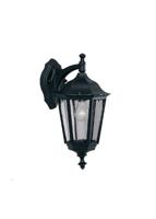 Searchlight Hangende lantaarnAlex - 82531BK - thumbnail
