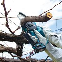 Makita UC100DWA | Accu Snoeizaag | CXT 12 V Max | 10cm | Set - UC100DWA - thumbnail