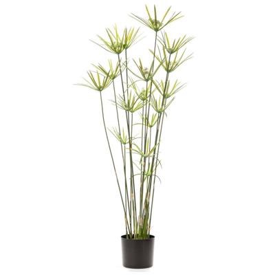 Wants&Needs Plants Kunstplant Cyperus