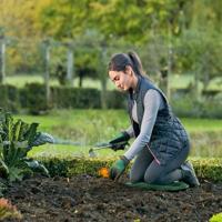 Bosch Home and Garden F016800650 F016800650 Knieplank - thumbnail