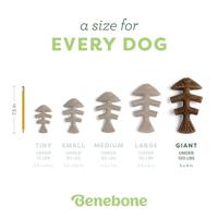 Benebone Fishbone nylon kauwspeelgoed hond (zalmsmaak) XL - thumbnail