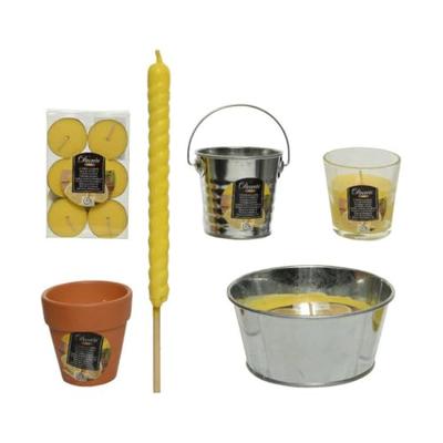 Decoris Citronella kaars DISPLAY
