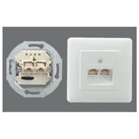 Rutenbeck IAE/UAE2x8(4)TRSUPrw Netwerkdoos Inbouw (in muur) Inzet met centraalstuk en frame Wit - thumbnail