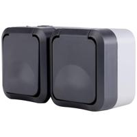 REV 0004090400 Wandcontactdoos dubbel Compleet AquaStorm Lichtgrijs, Zwart 1 stuk(s) - thumbnail