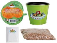 Kweekset pompoen / Esschert Design - thumbnail