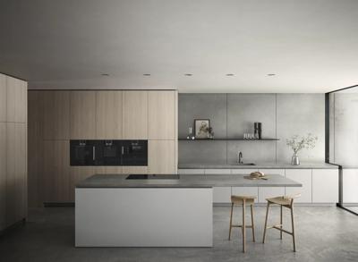 Gaggenau BOP220102 restant model