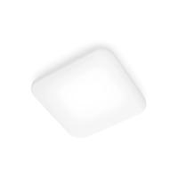 Vals plafond Philips Mauve A+ 17 W 2000 Lm (4000 K) - thumbnail