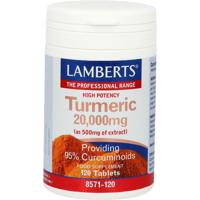 Lamberts Curcuma 20.000mg Tabletten - thumbnail
