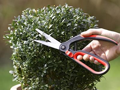 Meister buxusboomschaar - wu9719400