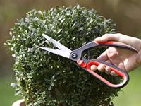Meister Buxusboomschaar - WU9719400 - thumbnail
