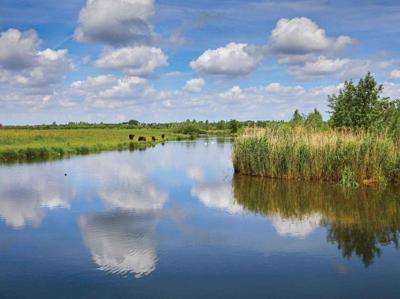 Water wolk 70x50cm Tuinschilderij Customize-it - Customize it