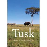 Koen Van der Cruyssen Tusk - thumbnail