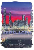 Verslagen - Sanne van Ooijen - ebook - thumbnail