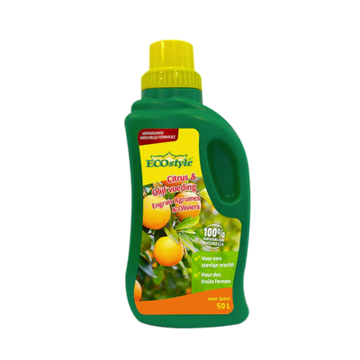 ECOstyle ECOstyle Citrus & Olijf 500ml